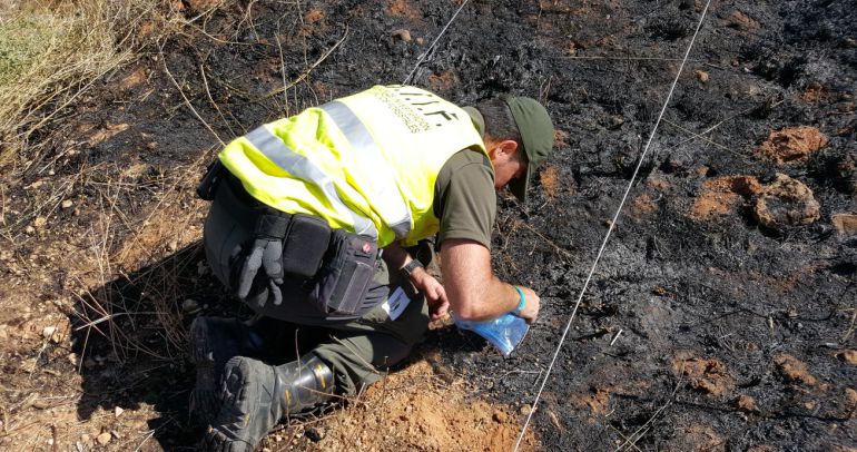 El trabajao de investigación de los agentes medioambientales de las BIIF es minucioso. El trabajao de investigación de los agentes medioambientales de las BIIF es minucioso.