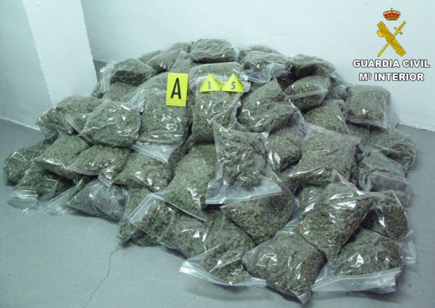 3OO plantas de marihuana incautadas por la Guardia Civil 3OO plantas de marihuana incautadas por la Guardia Civil