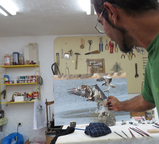Toni en el taller comparando el ejemplar de ágila pescadora de la foto de Sayago con la miniatura en la que están trabajando Toni en el taller comparando el ejemplar de ágila pescadora de la foto de Sayago con la miniatura en la que están trabajando