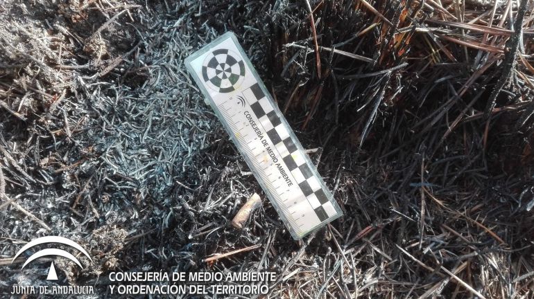 La colilla hallada por la brigada de investigacion de la Consejería de Medio Ambiente de la Junta de Andalucía La colilla hallada por la brigada de investigacion de la Consejería de Medio Ambiente de la Junta de Andalucía