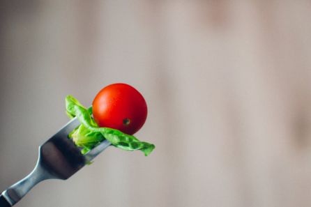 EIT Food, euskal elikadurari bultzada EIT Food, euskal elikadurari bultzada