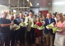 La uva, mejor embolsada y del Vinalopó