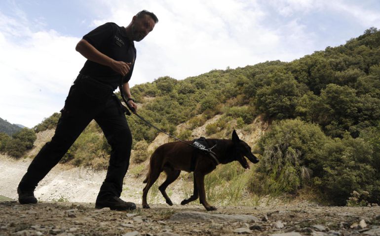 Los perros especializados han delimitado una zona de unos 150 metros Los perros especializados han delimitado una zona de unos 150 metros