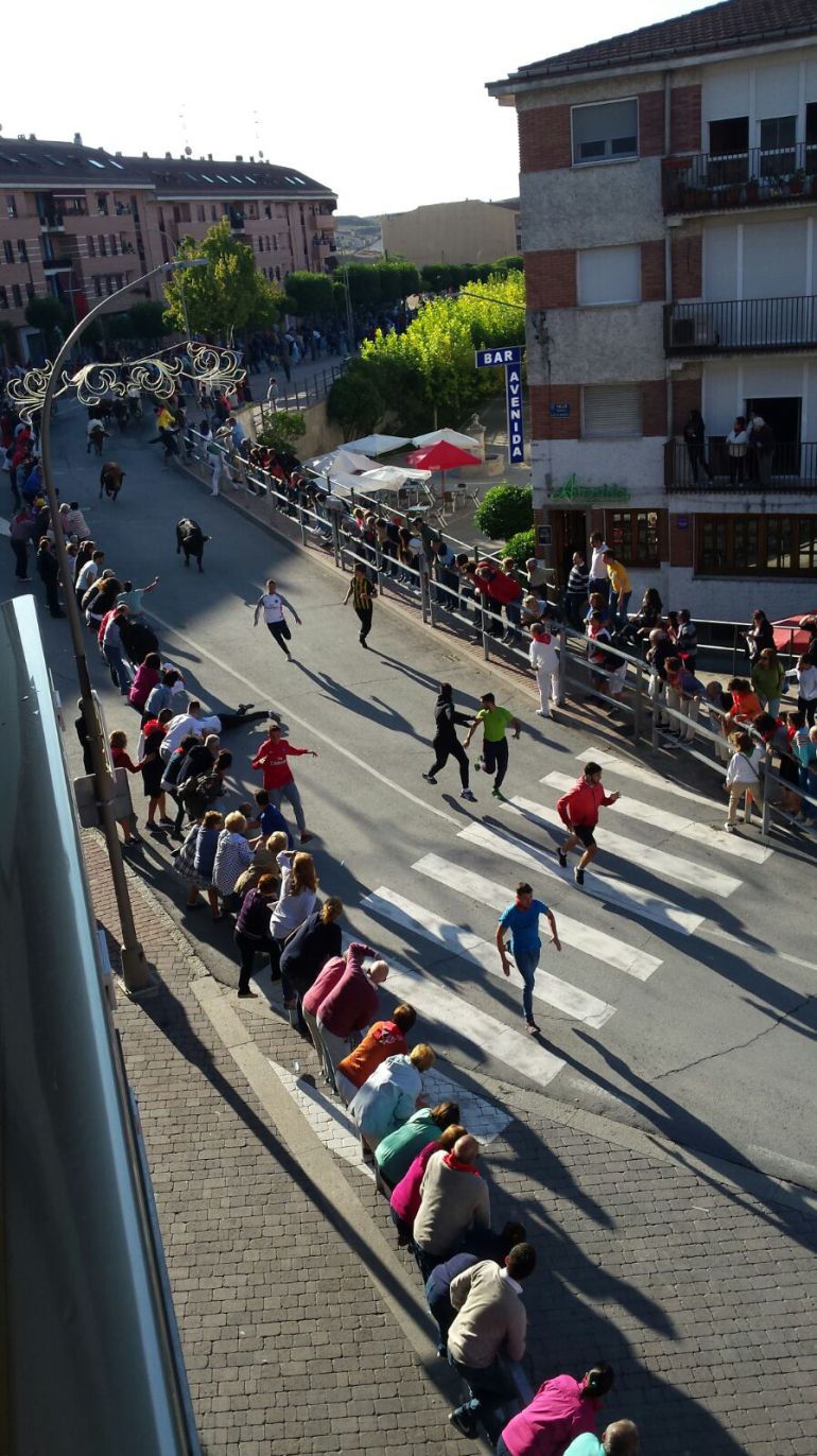 Los mozos corren delante de las reses de Yerbabuena en el último encierro de las fiestas de Cuéllar Los mozos corren delante de las reses de Yerbabuena en el último encierro de las fiestas de Cuéllar