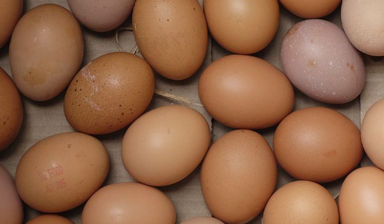 salmonelosis: Al menos 17 personas afectadas por un brote de salmonelosis en Móstoles salmonelosis: Al menos 17 personas afectadas por un brote de salmonelosis en Móstoles