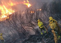 Estabilizados los tres incendios que afectan a la provincia de Sevilla