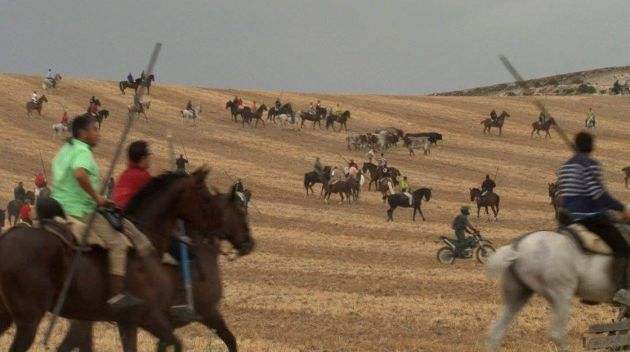 Los Encierros de Cuellar protagonizan la emisión de Comando al Sol Los Encierros de Cuellar protagonizan la emisión de Comando al Sol