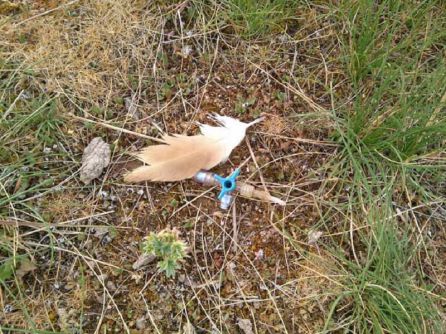 Tubo para su aplicación en vías venosas, encontrado en el Centro de Tratamiento de Residuos Tubo para su aplicación en vías venosas, encontrado en el Centro de Tratamiento de Residuos