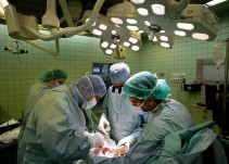 Canarias aumenta un 37% su número de donantes de médula ósea y supera su récord histórico