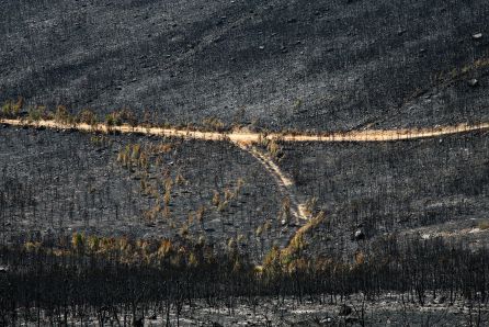 Restos del incendio de Castrocontrigo desde el mirador del Villar en Nogarejas (León) Restos del incendio de Castrocontrigo desde el mirador del Villar en Nogarejas (León)