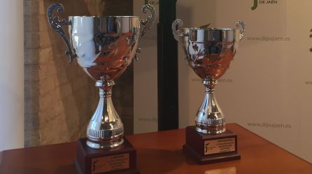 Imagen de los dos trofeos de la Copa Presidente Diputación. Imagen de los dos trofeos de la Copa Presidente Diputación.