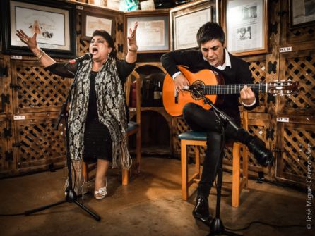 El flamenco vuelve a Alhama de Murcia El flamenco vuelve a Alhama de Murcia