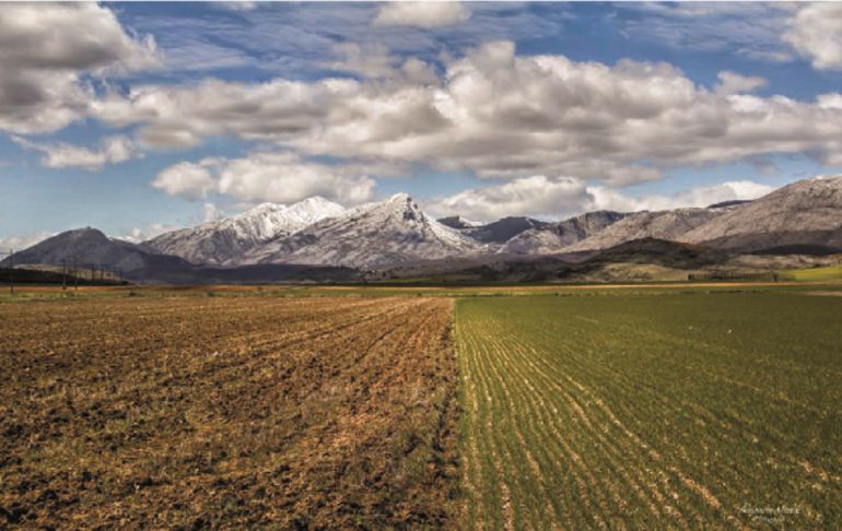 Asaja analiará los retos de la agricultura Asaja analiará los retos de la agricultura