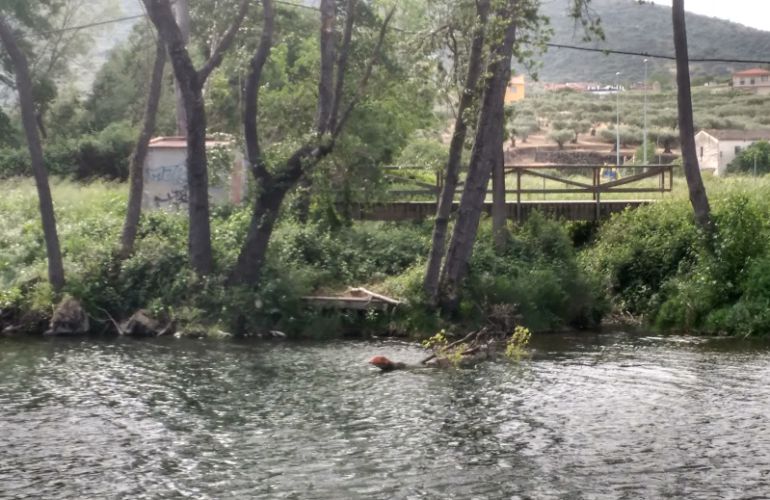 Río Jerte a su paso por Plasencia Río Jerte a su paso por Plasencia