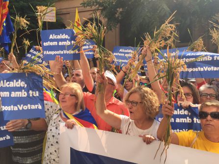 Els veïns d'Amposta que s'han desplaçat a Tarragona duien garbes d'arròs a les mans. Els veïns d'Amposta que s'han desplaçat a Tarragona duien garbes d'arròs a les mans.