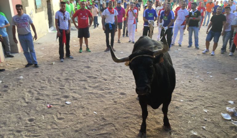 Cuenca: Una vaquilla hiere a un matrimonio de octogenarios alemanes en Cuenca Cuenca: Una vaquilla hiere a un matrimonio de octogenarios alemanes en Cuenca