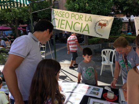 Electricidad con vegetales, cocina en la calle o juegos matemáticos; protagonistas en Las Tendillas Electricidad con vegetales, cocina en la calle o juegos matemáticos; protagonistas en Las Tendillas