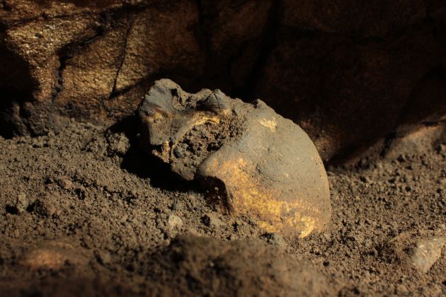Cráneo completo de 5.000 años de antiguedad localizado en la Cova del Randero de Pedreguer Cráneo completo de 5.000 años de antiguedad localizado en la Cova del Randero de Pedreguer