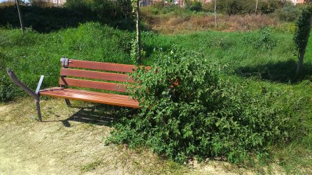 Los vecinos de Malilla llevan desde abril esperando la apertura del Parque Sur Los vecinos de Malilla llevan desde abril esperando la apertura del Parque Sur