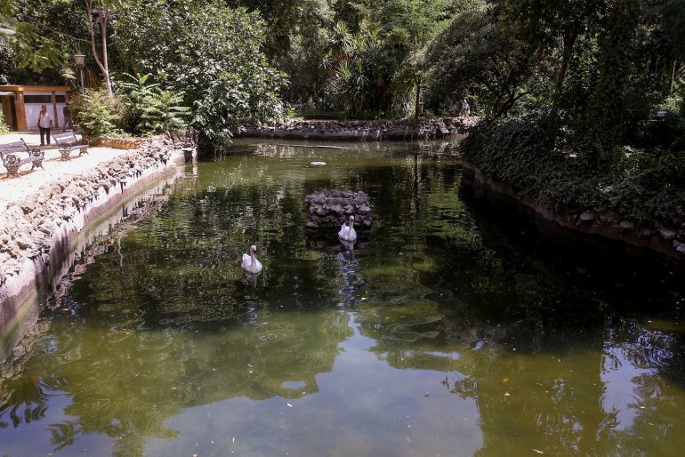 Parques y jardines de Sevilla: El Ayuntamiento invertirá 700.000€ en el arbolado del Parque de María Luisa Parques y jardines de Sevilla: El Ayuntamiento invertirá 700.000€ en el arbolado del Parque de María Luisa
