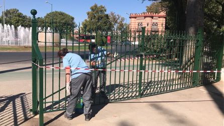 Parques y jardines de Sevilla: El Ayuntamiento invertirá 700.000€ en el arbolado del Parque de María Luisa Parques y jardines de Sevilla: El Ayuntamiento invertirá 700.000€ en el arbolado del Parque de María Luisa