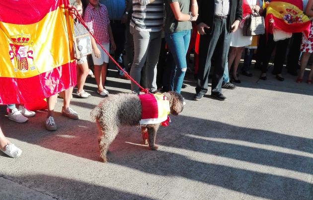 Las mascotas, también ataviadas de rojigualda Las mascotas, también ataviadas de rojigualda