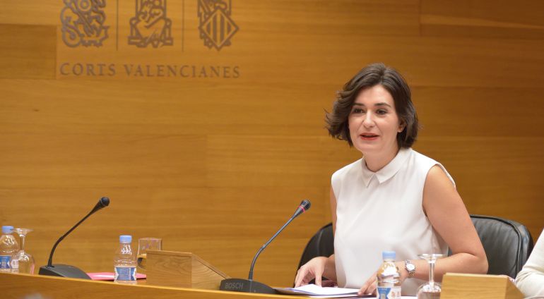 La consellera Carmen Montón en la comisión de Sanidad en les Corts La consellera Carmen Montón en la comisión de Sanidad en les Corts