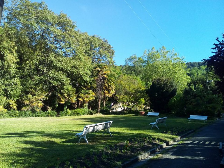 Imagen de una parte del terreno de Viveros de Ulía. Imagen de una parte del terreno de Viveros de Ulía.