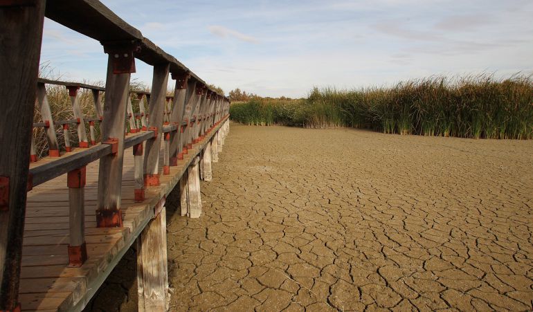 El Guadiana ya no riega Las Tablas El Guadiana ya no riega Las Tablas