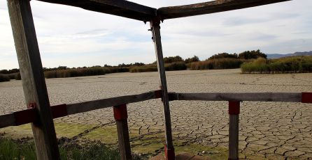 El Guadiana ya no riega Las Tablas El Guadiana ya no riega Las Tablas