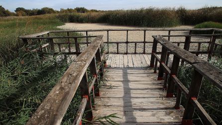 El Guadiana ya no riega Las Tablas El Guadiana ya no riega Las Tablas