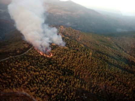 Incendio Langre Incendio Langre