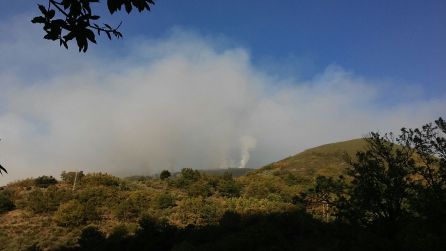 Un incendio en Matalavilla amenaza la zona osera de Palacios del Sil Un incendio en Matalavilla amenaza la zona osera de Palacios del Sil