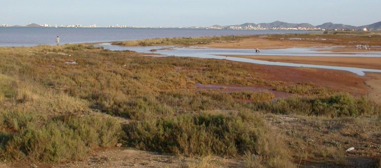 El Mar Menor entre los casos de deterioro ambiental del litoral español según Ecologistas en Acción El Mar Menor entre los casos de deterioro ambiental del litoral español según Ecologistas en Acción