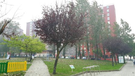 El humo se aprecia en este parque de Cazoña, en Santander. El humo se aprecia en este parque de Cazoña, en Santander.