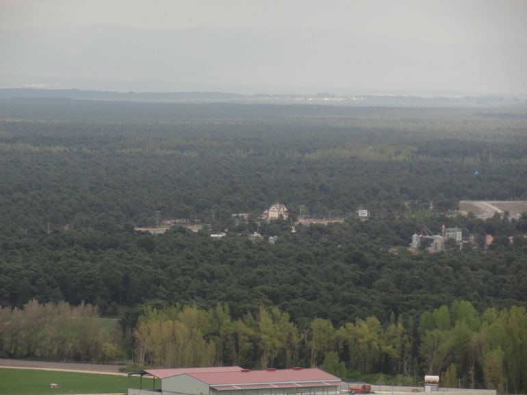 Vista de pinares en la comarca de Cuéllar Vista de pinares en la comarca de Cuéllar