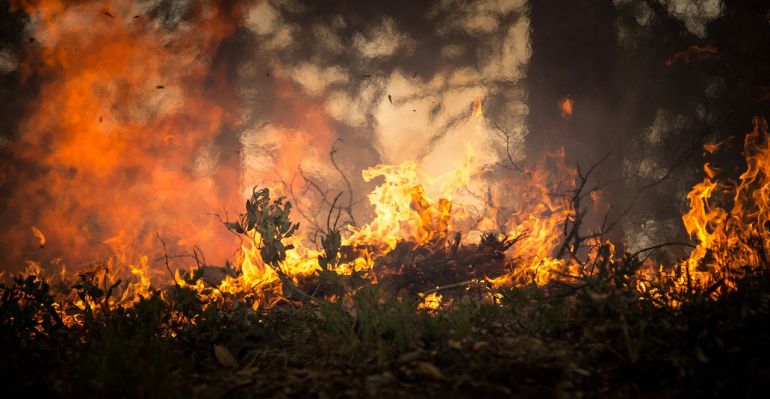 Incendios Galicia: Y después del fuego... ¿qué? Incendios Galicia: Y después del fuego... ¿qué?