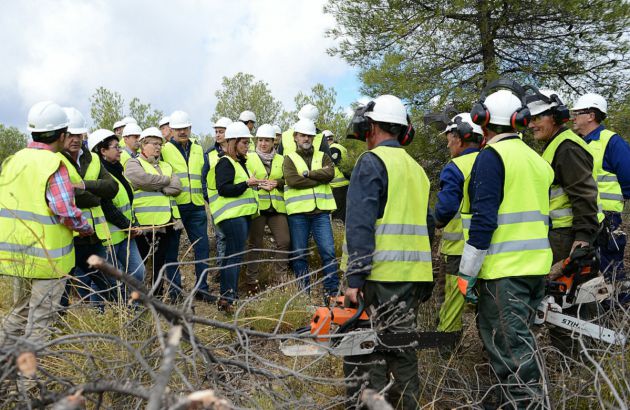 Visita institucional a la Sierra de Baza para supervisar los trabajos de control y recuperación forestal Visita institucional a la Sierra de Baza para supervisar los trabajos de control y recuperación forestal