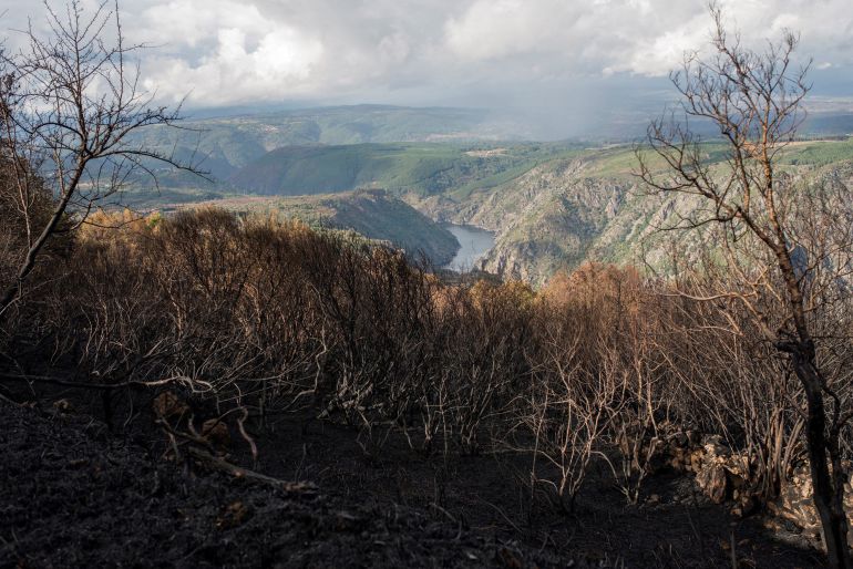 Los daños provocados por el fuego en Parada de Sil Los daños provocados por el fuego en Parada de Sil