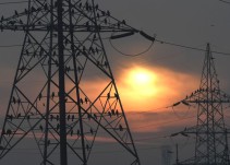 HBG y Endesa continúan con las negociaciones para concretar acuerdos de suministro