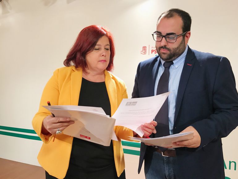 Elvira Ramón y Juan Francisco Mancilla, en la sede del PSOE de Granada