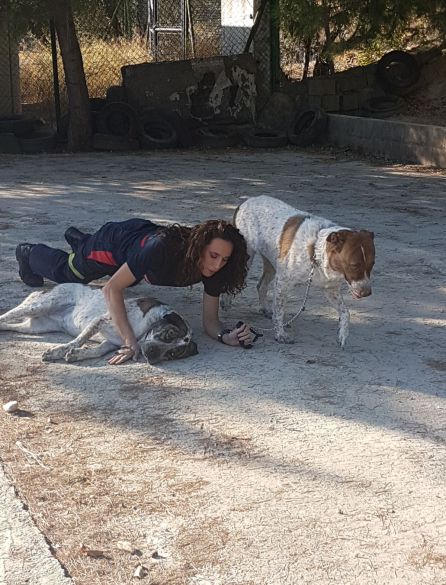 Una bombero en plena sesión fotografica con los perros del refugio Una bombero en plena sesión fotografica con los perros del refugio