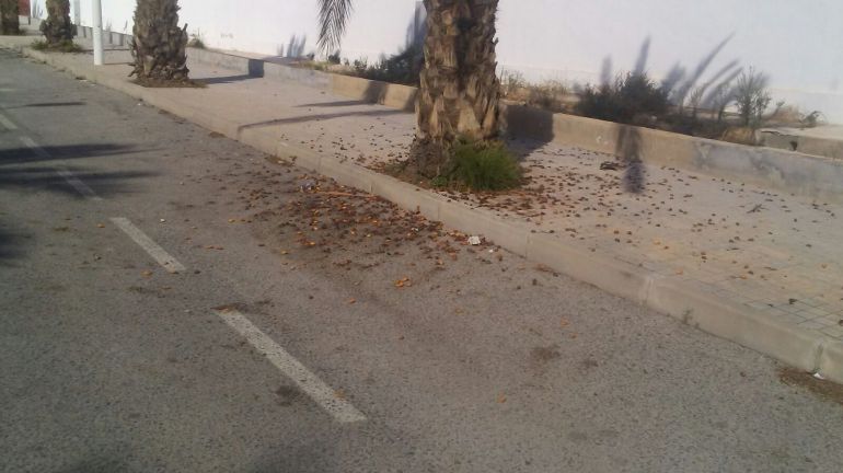 Dátiles sobre la calzada Dátiles sobre la calzada