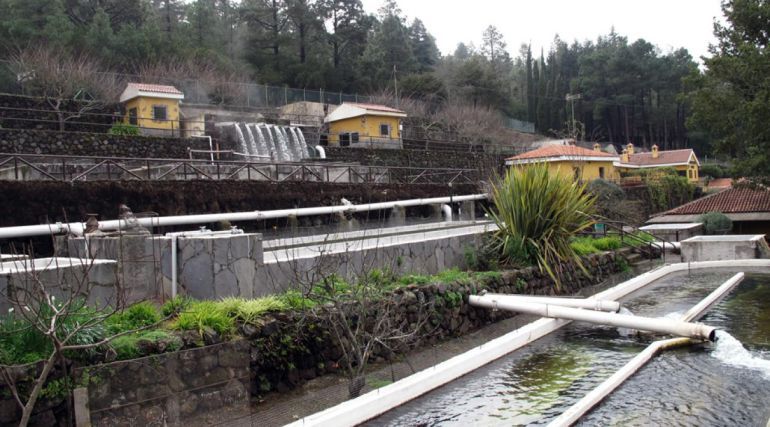 Instalaciones de la piscisfactoria en Aguamansa en La Orotava. Instalaciones de la piscisfactoria en Aguamansa en La Orotava.