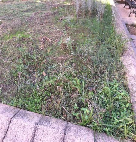 San Roque, una barriada sin inversiones, según el PSOE San Roque, una barriada sin inversiones, según el PSOE