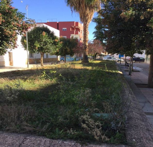 San Roque, una barriada sin inversiones, según el PSOE San Roque, una barriada sin inversiones, según el PSOE
