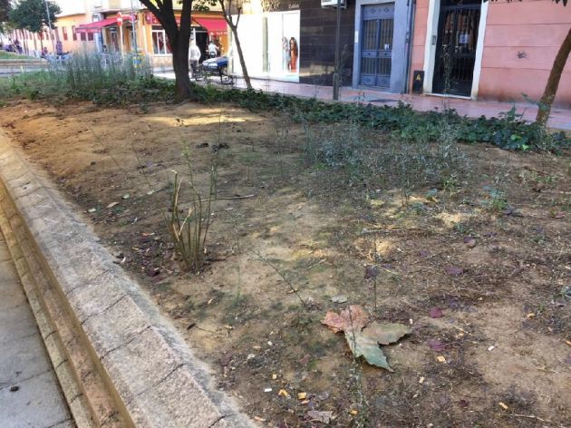 San Roque, una barriada sin inversiones, según el PSOE San Roque, una barriada sin inversiones, según el PSOE