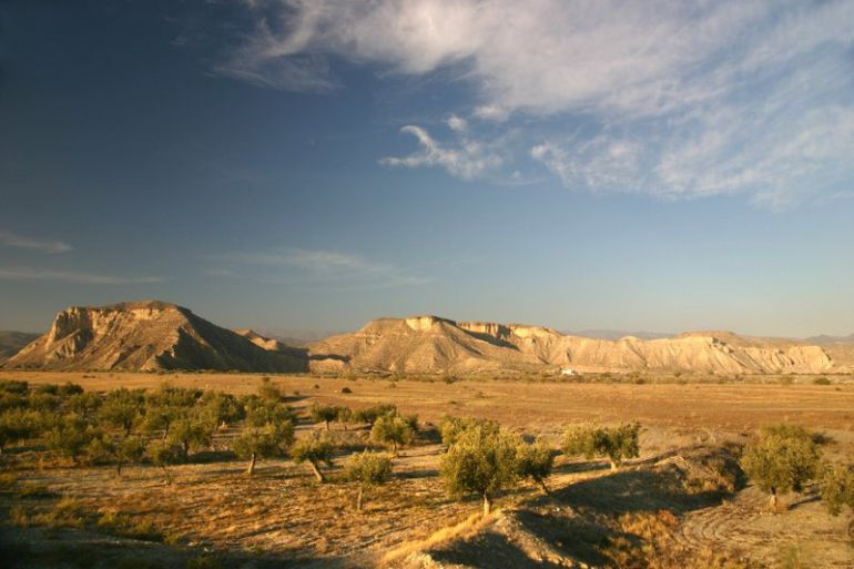 Campo de Tabernas. Campo de Tabernas.