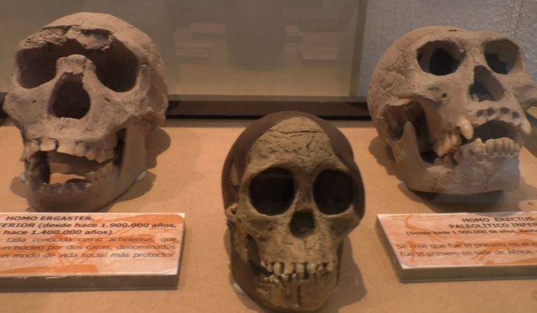 ‘La Prehistoria’: una exposición educativa que mira al pasado, estará expuesta en Santa Marina hasta el 13 de diciembre ‘La Prehistoria’: una exposición educativa que mira al pasado, estará expuesta en Santa Marina hasta el 13 de diciembre