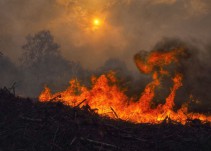 No hay trama incendiaria